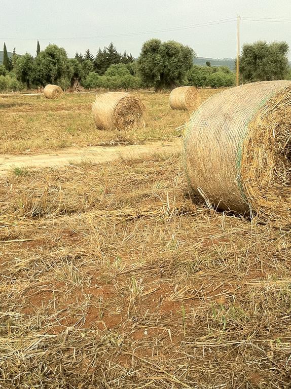 Masseria Torremossa Fasano Eksteriør bilde