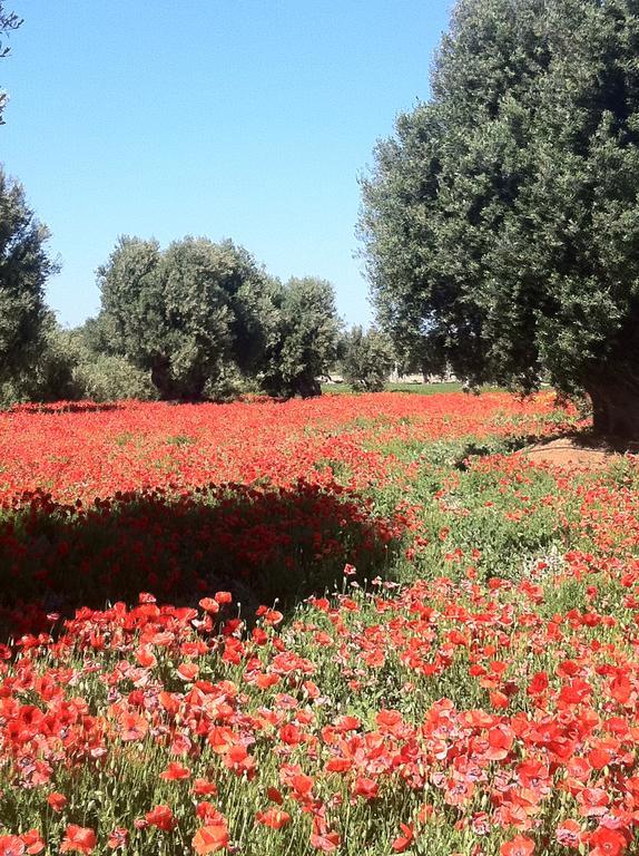 Masseria Torremossa Fasano Eksteriør bilde
