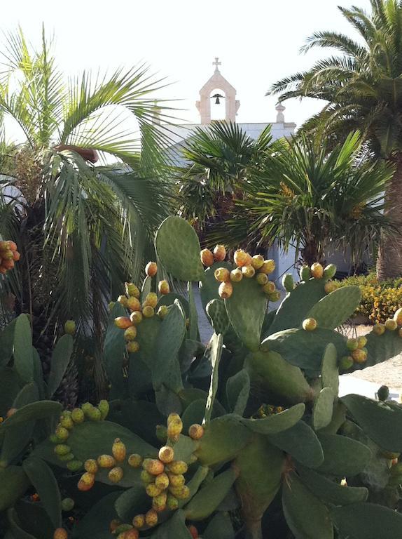 Masseria Torremossa Fasano Eksteriør bilde