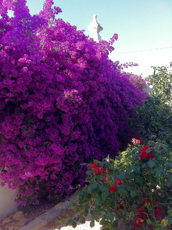 Masseria Torremossa Fasano Eksteriør bilde